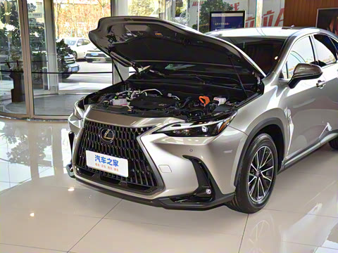 2025�� 400h+ PRIME