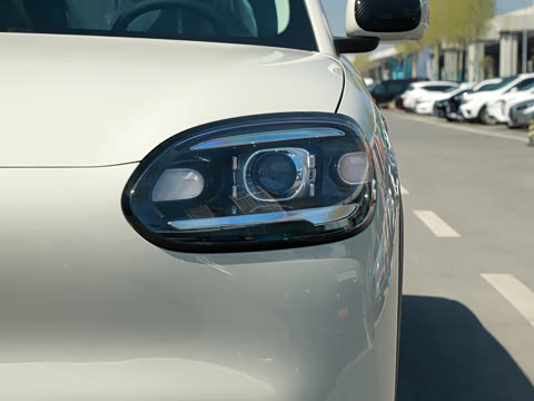 2026�� 310�Ȱ���