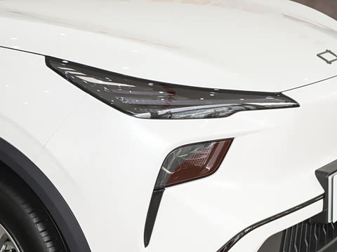 2025�� 565km �����