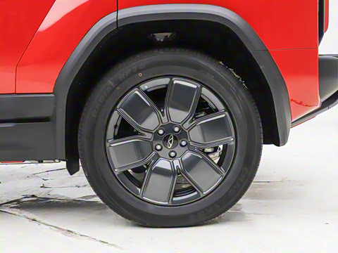 2025�� 501���������