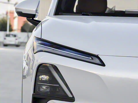 2026�� ������ ������