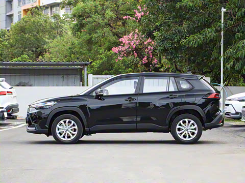 2026�� 2.0L ���ܵ��˫�� ����PLUS��