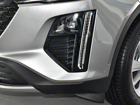 2023�� 25T ������