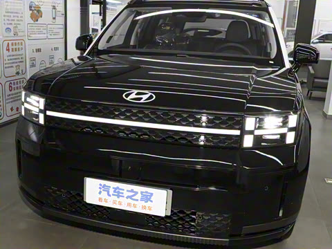 2024�� 2.0T ���ͼ�Pro