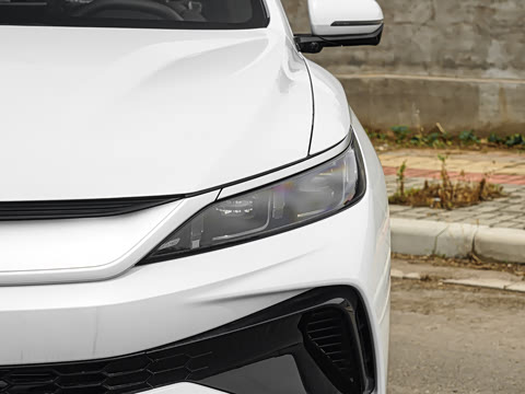 2026�� �ɳ۰� DM-i 220KM��Խ��