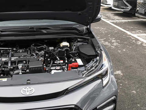 2026�� ����L ���ܵ��˫�� 1.8L ������