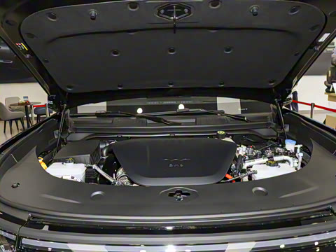 2025�� �����콢�� 5��