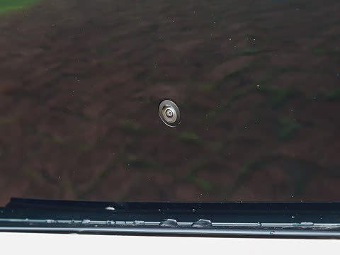 2026�� �����