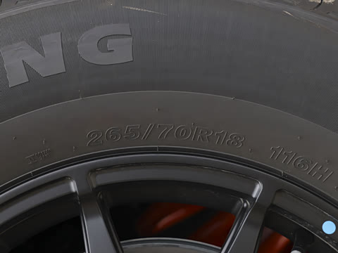 2025�� ������-̽Ұ 5��
