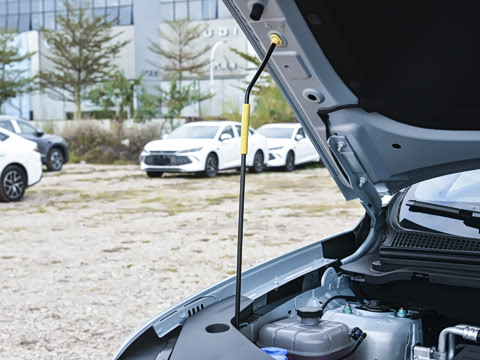 2026�� DM-i 220KM��Խ��