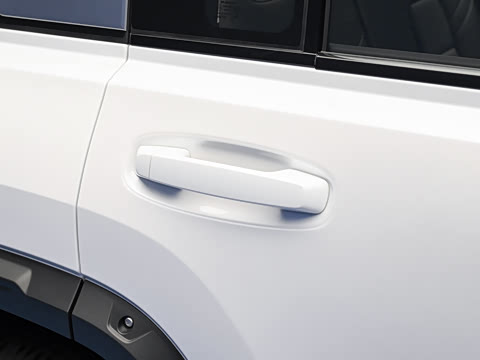 2026�� 255km ������