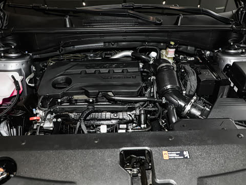 2025�� 2.0T ��������������