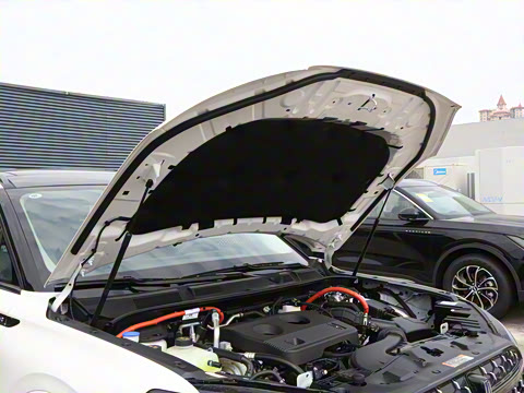 2025�� 1.5T ���������춯��