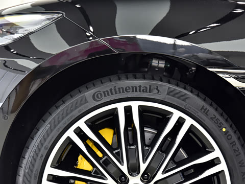 2026�� ����������������