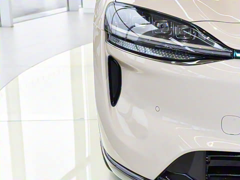 2026�� ���� Max+