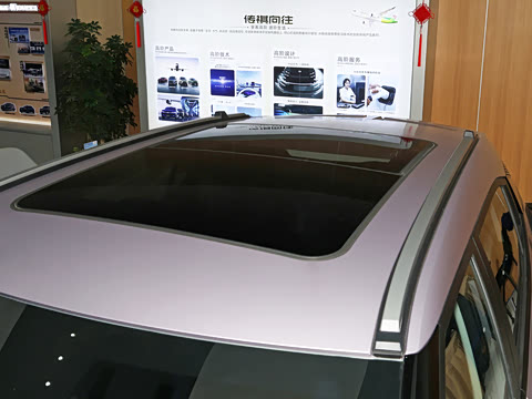 2026�� Ӱ�� 270T ������