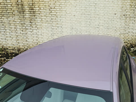 2026�� 310km �ഺ��