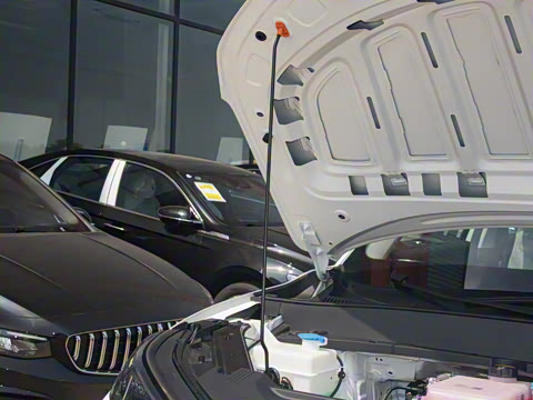 2026�� 610km ̽��+��