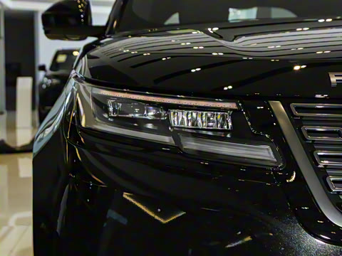 2026�� 250PS Dynamic SE