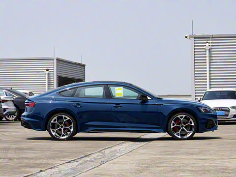 2024�� RS 5 2.9T Sportback ȼ���