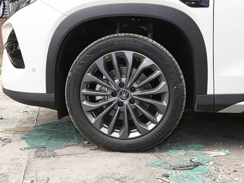 2026�� DM-i 205KM ��Խ��
