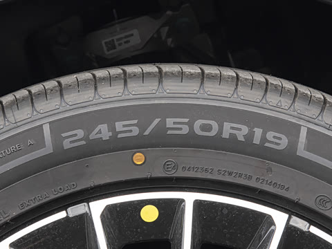 2026�� ������