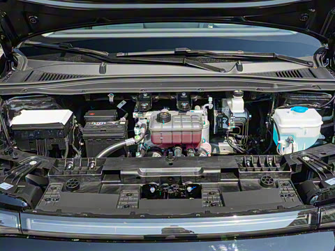 2025�� 650�����״��