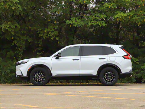 2026�� ȫ��30����ҫ�� 2.0L e:HEV �������