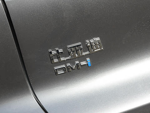 2026�� DM-i 133KM��ȡ��