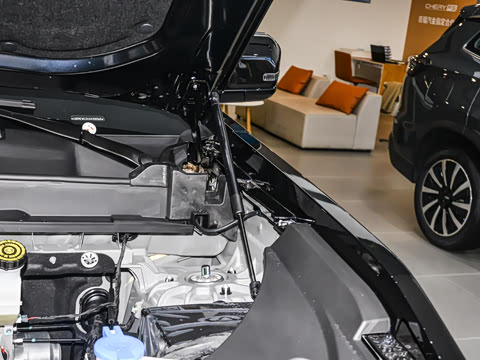 2025�� 205�������ܰ�