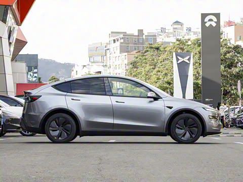 2026�� ����������������