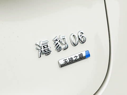 2027�� DM-i 320KM������