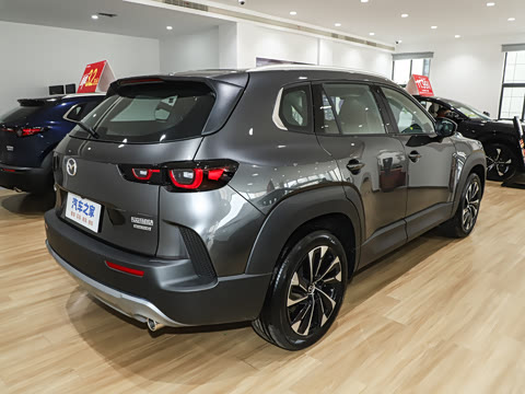 2026�� 2.5L ���а�