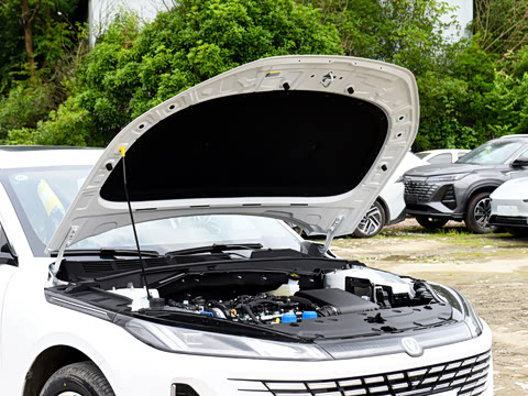 2026�� 1.5L �������� ������