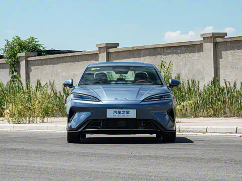 2026�� DM-i 1.5T 230km ������