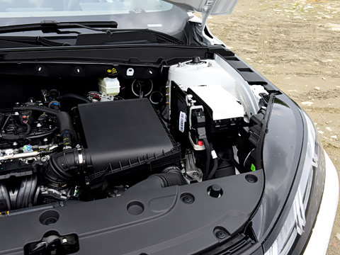 2026�� 1.5L �������� ������
