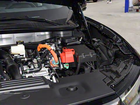 2026�� ���L 2.0T EcoBoost E�춯��������������