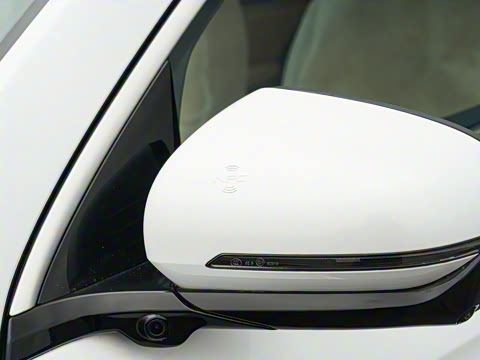 2026�� DM-i 133KM��Խ��