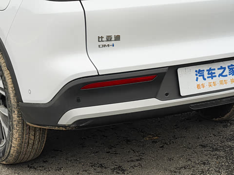 2026�� DM-i 133KM��Խ��