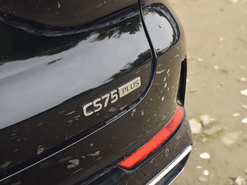 2026�� �ǻ۹ھ��� 1.5T ������ �Ǻ���