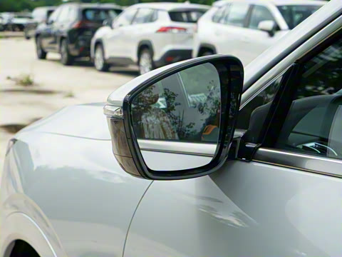 2026�� 121km ���ʰ� 5��