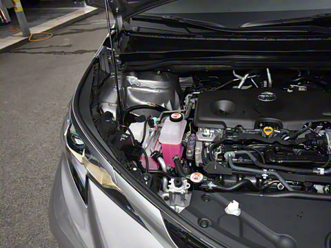 2026�� 2.5L�춯 ���PLUS������