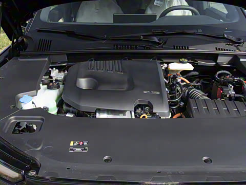 2026�� ������������Plus