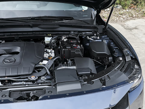 2026�� 2.5L ���а�