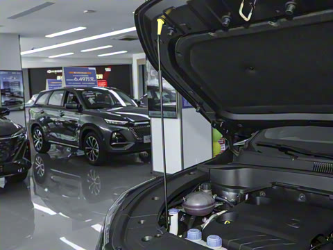 2025�� �ǻ������� 125km ������