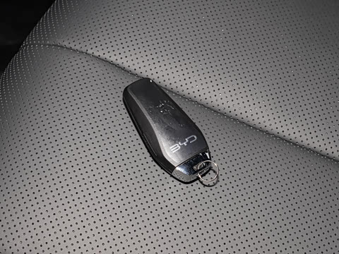 2026�� DM-i 210KM��Խ��