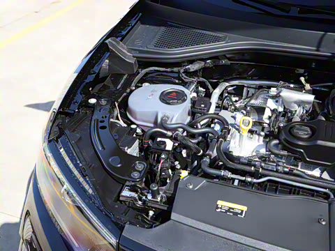 2026�� 300TSI DSG�����ǹ��