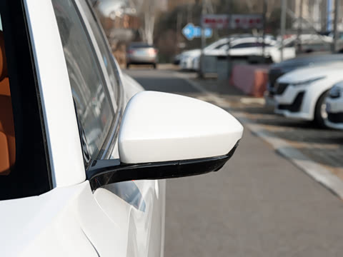 2026�� 565km ������