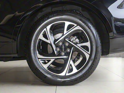 2025�� �Ŀ� 2.0T �������ݻ춯��