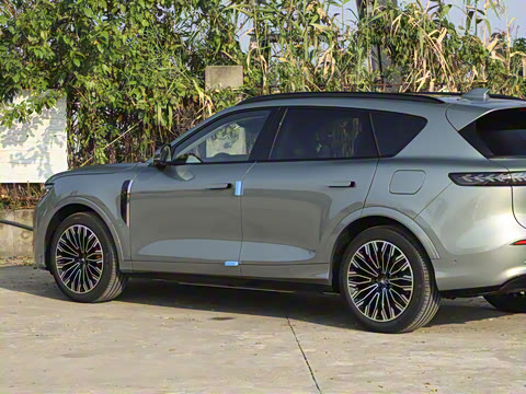 2025�� FREE+ ����Ǭ����